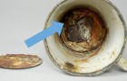 Una tazza proveniente da Auschwitz ha custodito per 70 anni un anello e una collana nascosti nel doppio fondo