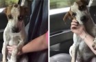 A lady rescues a puppy from the street and the way it thanks her will bring tears to your eyes ...