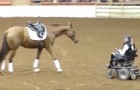 Video Caballos