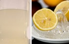 6 unerwünschte Effekte, die bei zu viel Trinken von Wasser mit Zitrone auftreten können