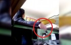 Ze stal geld uit de kassa: de winkeleigenaren leren haar een les door er een muizenval in te doen
