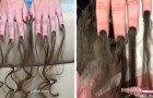 In Russia, a beauty salon launches a new fashion --- nails with hair extensions!