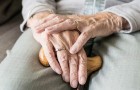 Die Forschung legt nahe, dass eines der ersten Symptome der Alzheimer-Krankheit der Verlust der räumlichen Orientierung sein könnte
