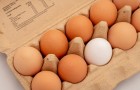 Vidéos d' Aliments