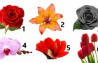 Schaut euch das Foto an und wählt die Blume, die euch am meisten anzieht: Die Antwort kann etwas über eure Persönlichkeit aussagen