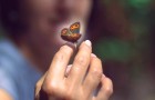 Video Psychologie