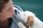 7 Dinge über dich, von denen du nicht wusstest, dass ein Hund sie riechen kann.