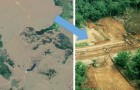 L'Amazonie, en 2018, enregistre une déforestation record : des milliards d'arbres abattus en 7 mois