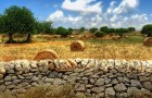 Video Luoghi