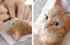 Vidéos de Chats