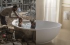 Vidéos de Photographie