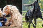 12 Pferderassen, von denen man den Blick nicht wenden kann