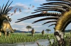 Wissenschaftler entdeckten einen Dinosaurier, der einen spektakulären Dornenkranz hatte