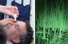 Vidéos de Découvertes