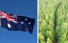 Video Video's uit Australië Australië