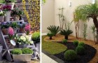 Video Giardinaggio