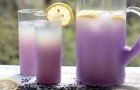Lavendel limonade: hoe deze kostbare bondgenoot tegen angst en stress te bereiden