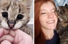 Video di Gatti