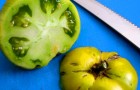 7 vegetali molto comuni che non andrebbero mai mangiati, soprattutto crudi