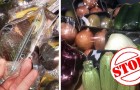Stop aux emballages plastiques pendant une semaine : l'initiative Zéro Déchet rassemble des milliers d'adeptes