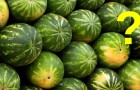 Vilken vattenmelon skulle du köpa? Här är fyra guldregler för att välja den bästa att hålla i minnet!