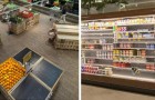 Vidéos d' Aliments