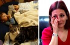 Video de Gatos