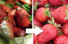 Video de Cocina