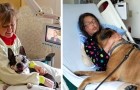 Dans cet hôpital, les patients peuvent recevoir la visite de leurs chiens, et les images réchauffent le cœur