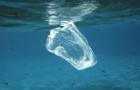 Entro il 2021 saranno vietati i prodotti in plastica monouso in tutti i Paesi dell'UE: ecco tutto quello che c'è da sapere