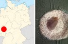Video Germania