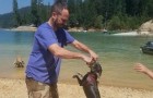 Na een dagje uit naar het meer verloor een hond zijn leven door watervergiftiging: dit zijn de symptomen en de oorzaken