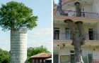 Diese Gebäude auf der ganzen Welt zeigen uns, dass Mensch und Natur ein perfektes Paar sein können