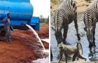 La storia di Water Man, l'uomo che ogni giorno porta acqua pulita agli animali selvatici assetati