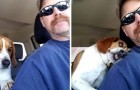 Un uomo salva un beagle dall’eutanasia... e lui lo ringrazia con tutta la dolcezza di cui è capace