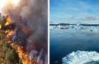 La fumée des feux sibériens fait fondre la glace à des milliers de kilomètres de distance
