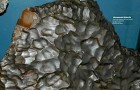 Vidéos Incroyables