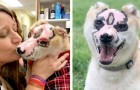 Video di Cani