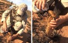 Questo pompiere disseta un cucciolo di armadillo scampato ai roghi in Amazzonia