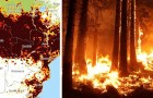 En plus de l'Amérique du Sud, l'Afrique brûle aussi : les incendies en Angola et au Congo sont deux fois plus importants que ceux de l'Amazonie