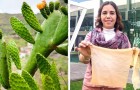 Diese Wissenschaftlerin produzierte einen Beutel aus Kaktusfeigensaft: Er löst sich in einer Woche auf