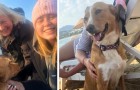 Video of Animals