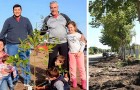 Dal 1995 in questa città piantano un albero per ogni nuovo nato: ora sono migliaia