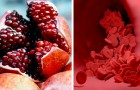 Il melograno: il frutto energetico ricco di antiossidanti che migliora il flusso sanguigno