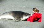 Niet te geloven dat een zeehond zo op een mens kan reageren