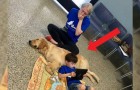 La mère éclate en larmes quand elle voit son fils autiste avec son chien de thérapie : 