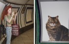Video di Gatti
