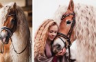 Vidéos de Chevaux