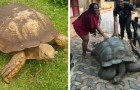 Vidéos d Histoires