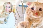 Vídeo de Animais